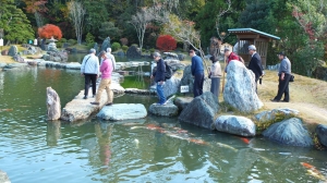 百万石の大名庭園の風格