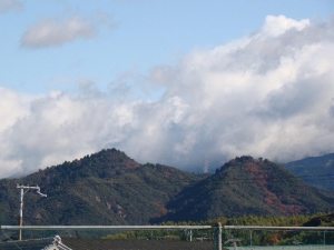 DSC03385.JPG