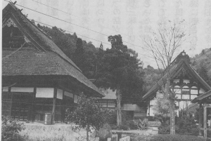P21-1.jpg