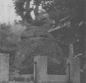 P21-2.jpg