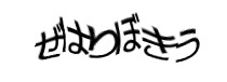 Authentication image